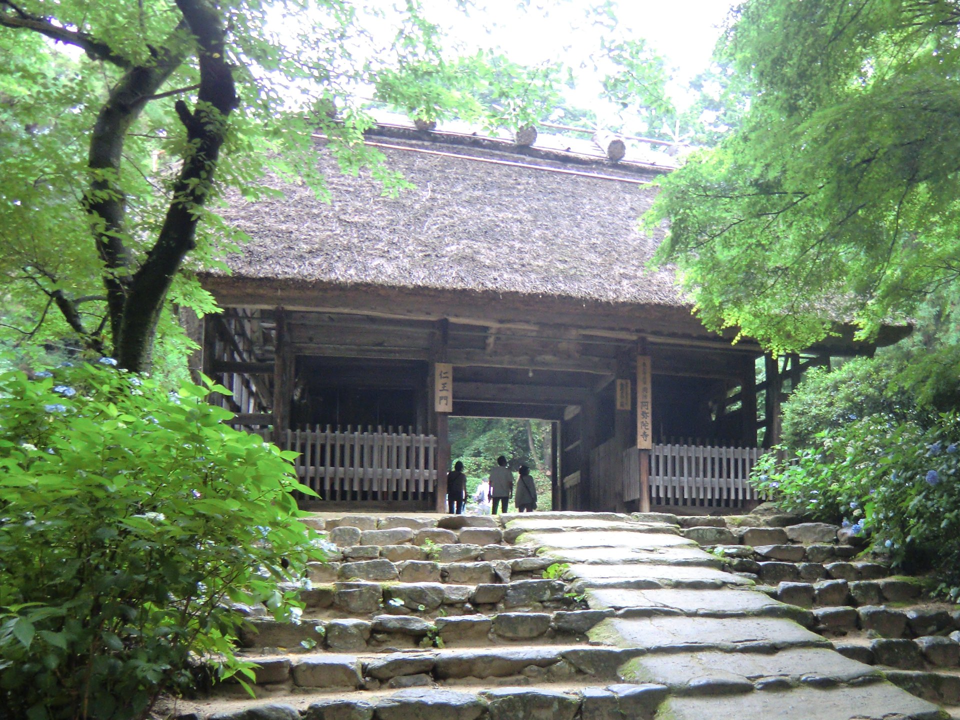 阿弥陀寺