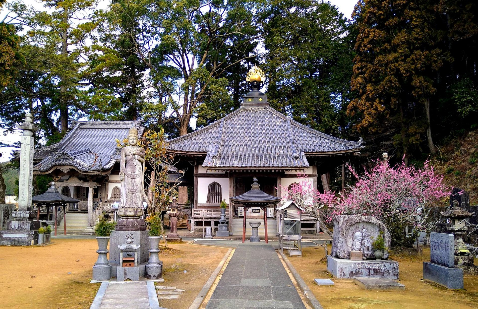 佛木寺