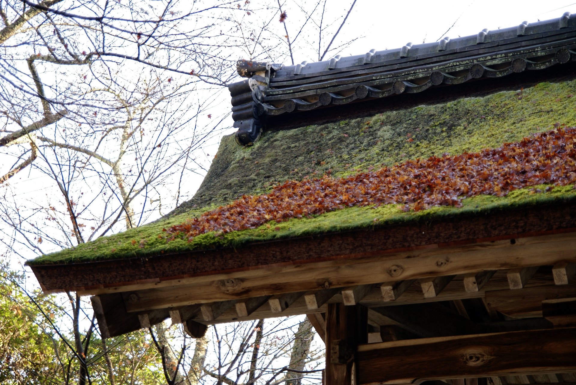 山門
