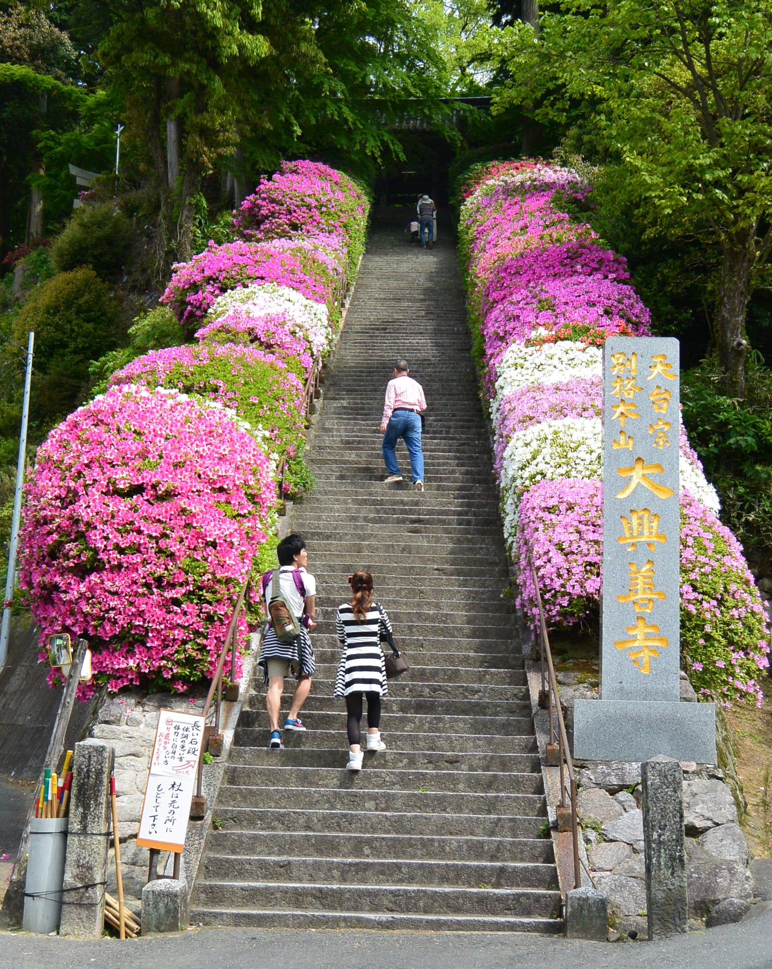 大興善寺