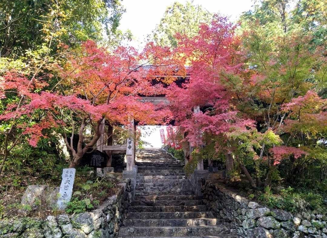 大日寺