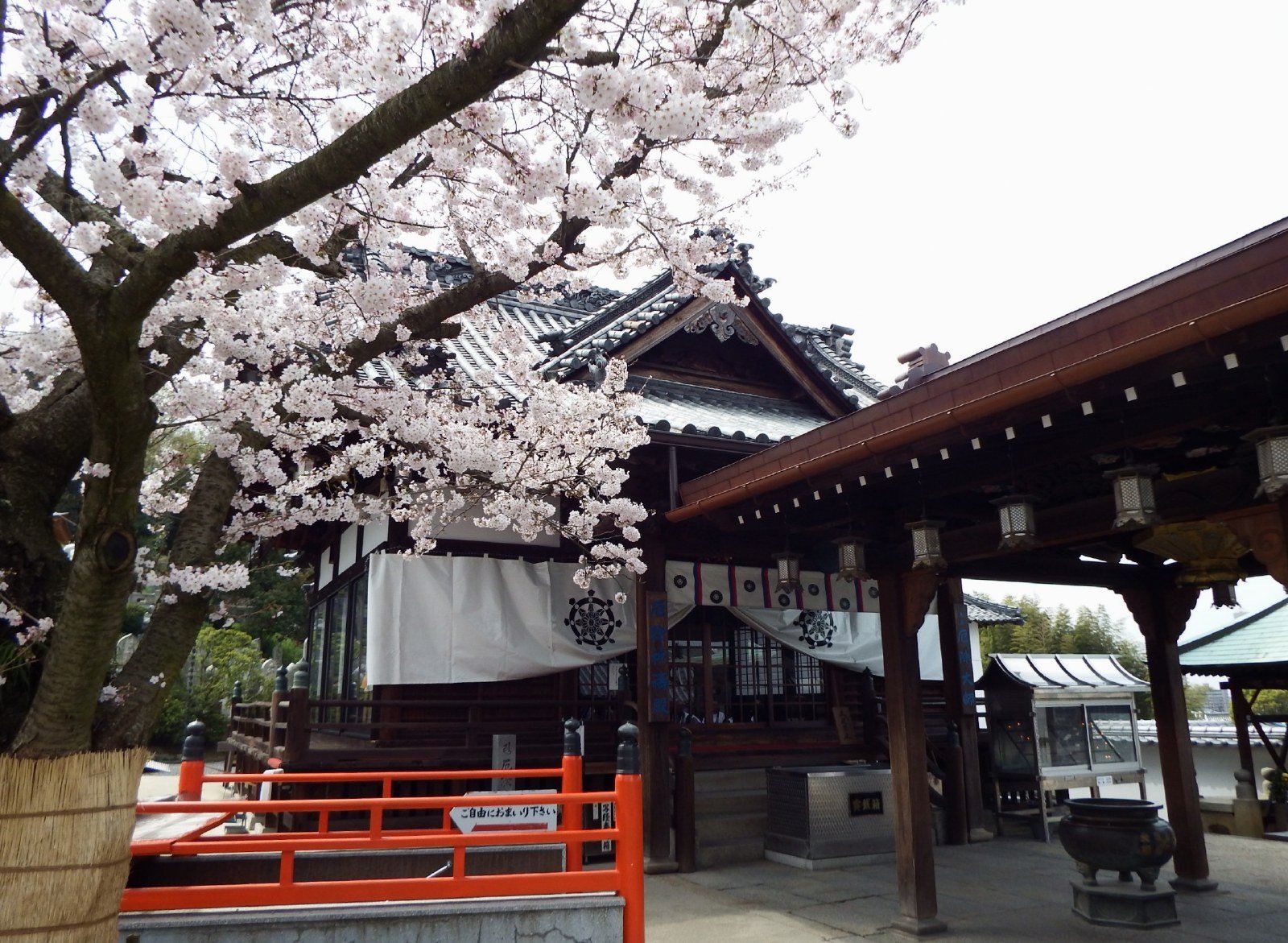 郷照寺