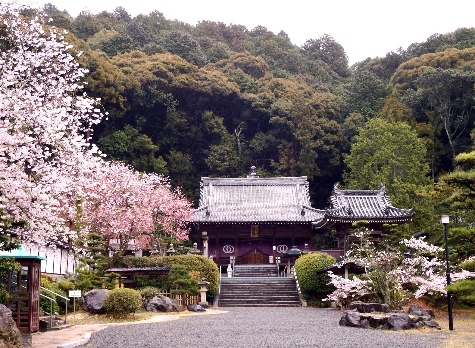 繁多寺