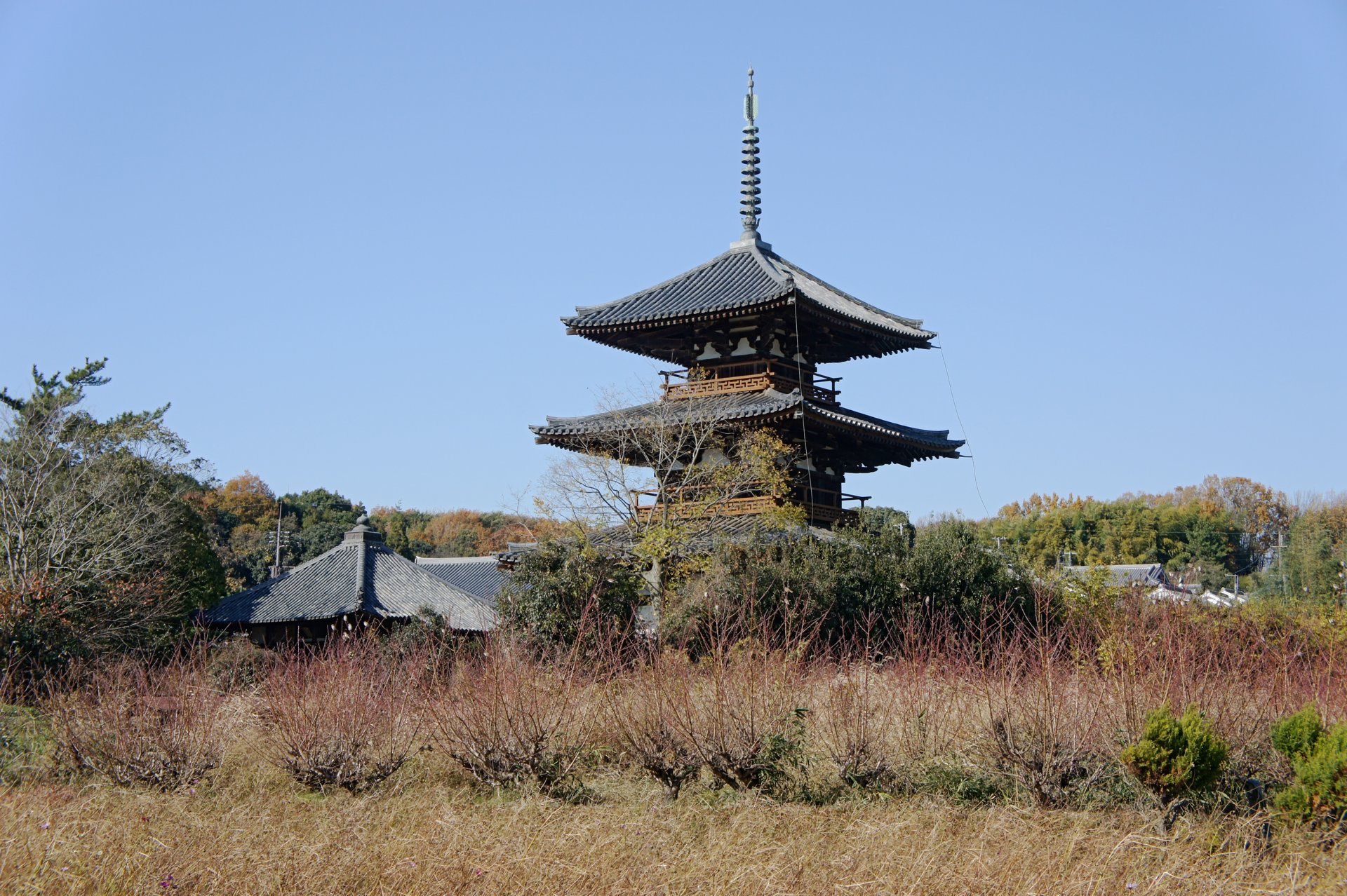 法起寺