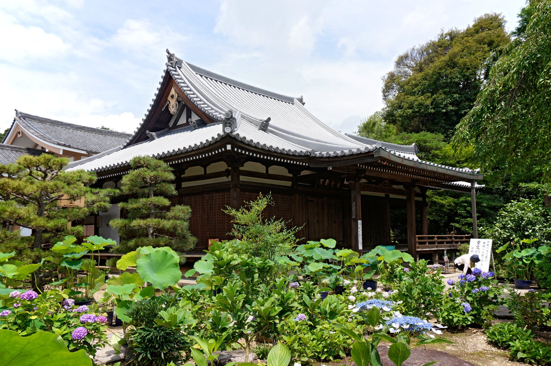 法金剛院