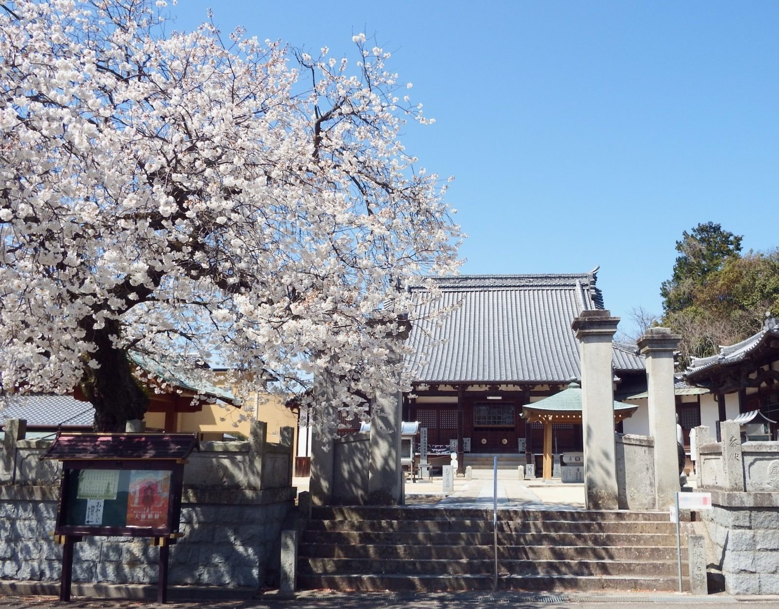 伊予国分寺