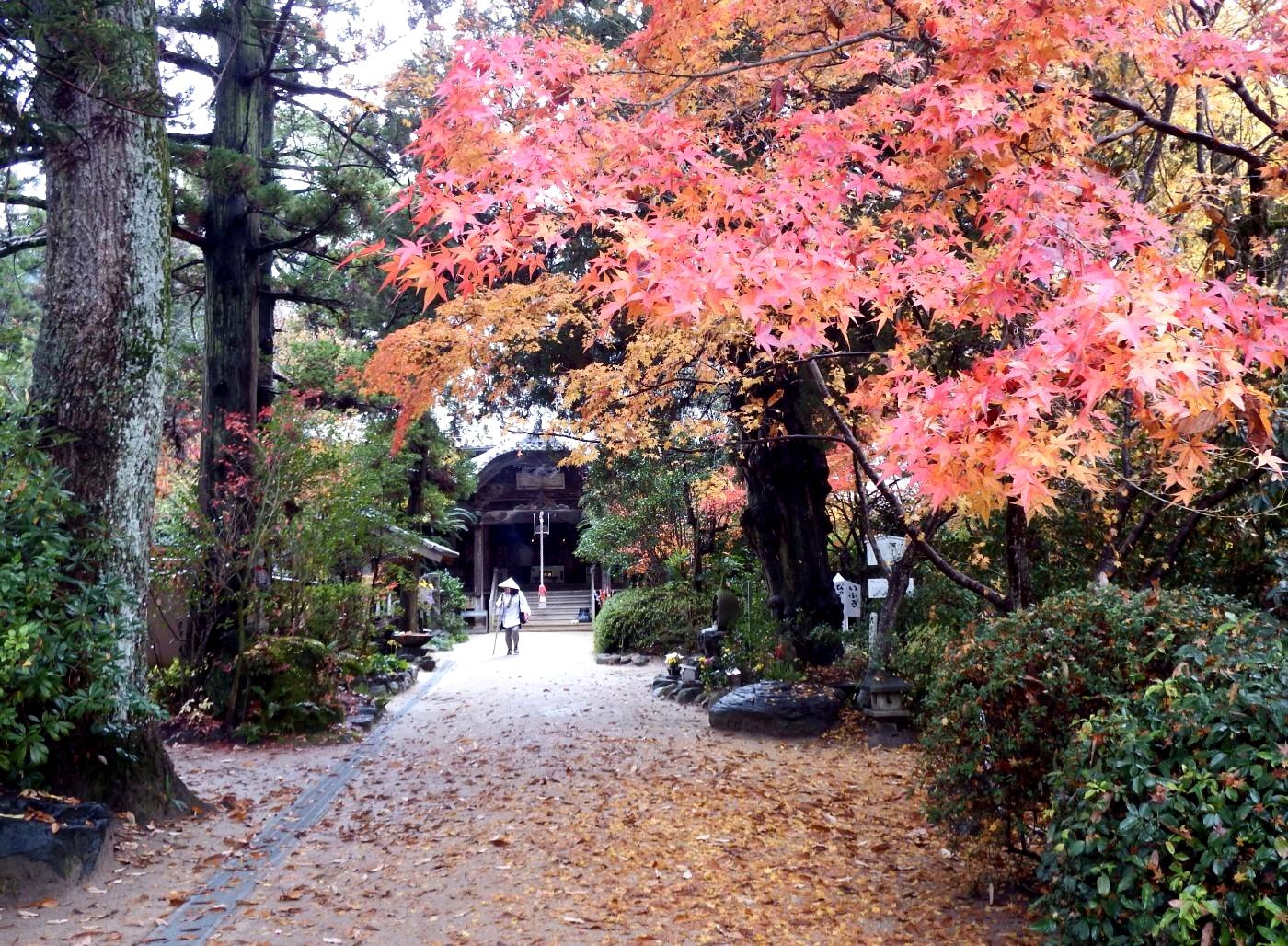 浄瑠璃寺