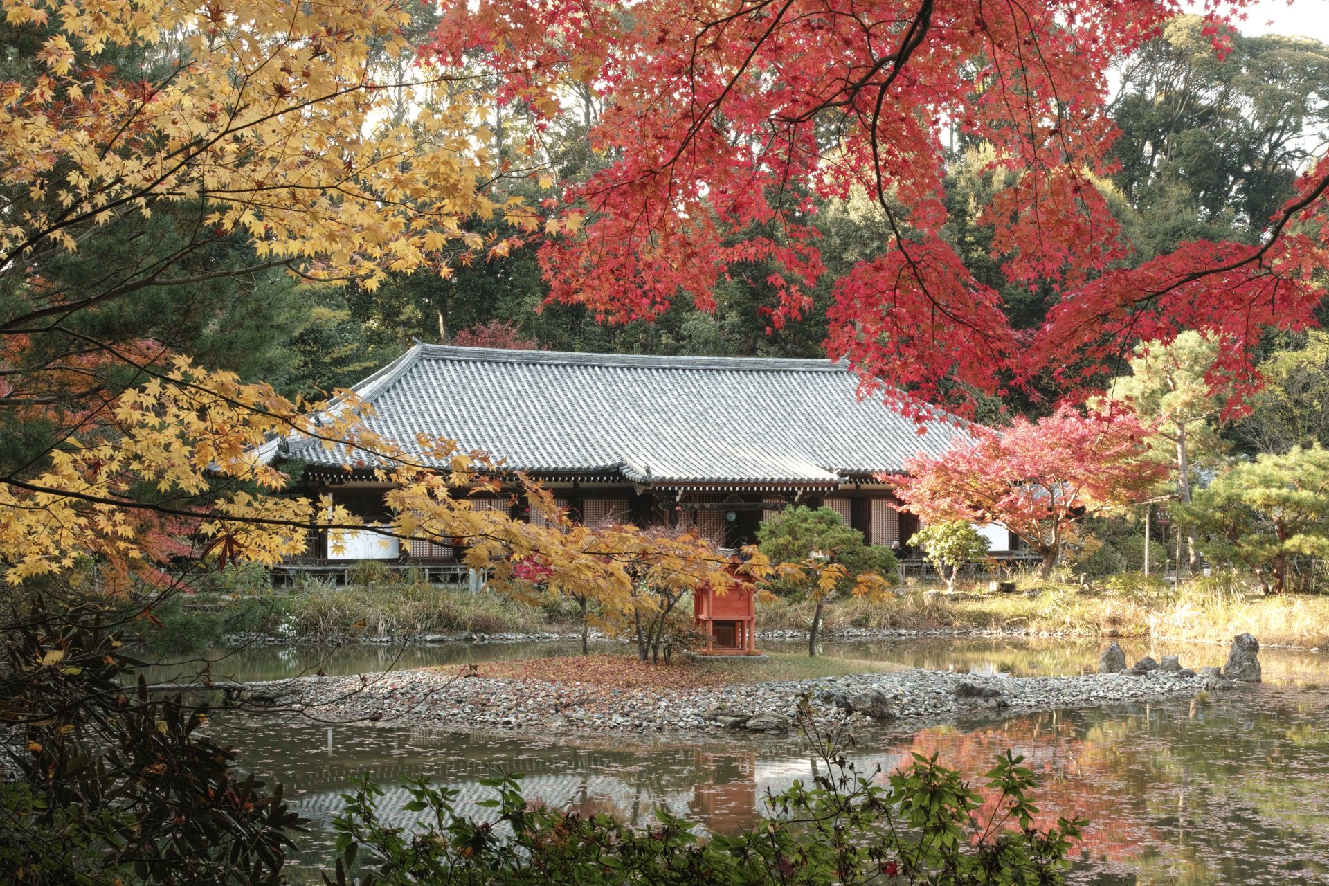 浄瑠璃寺