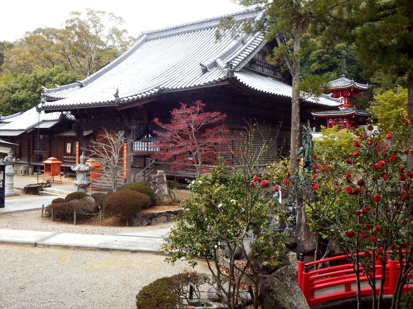 金泉寺
