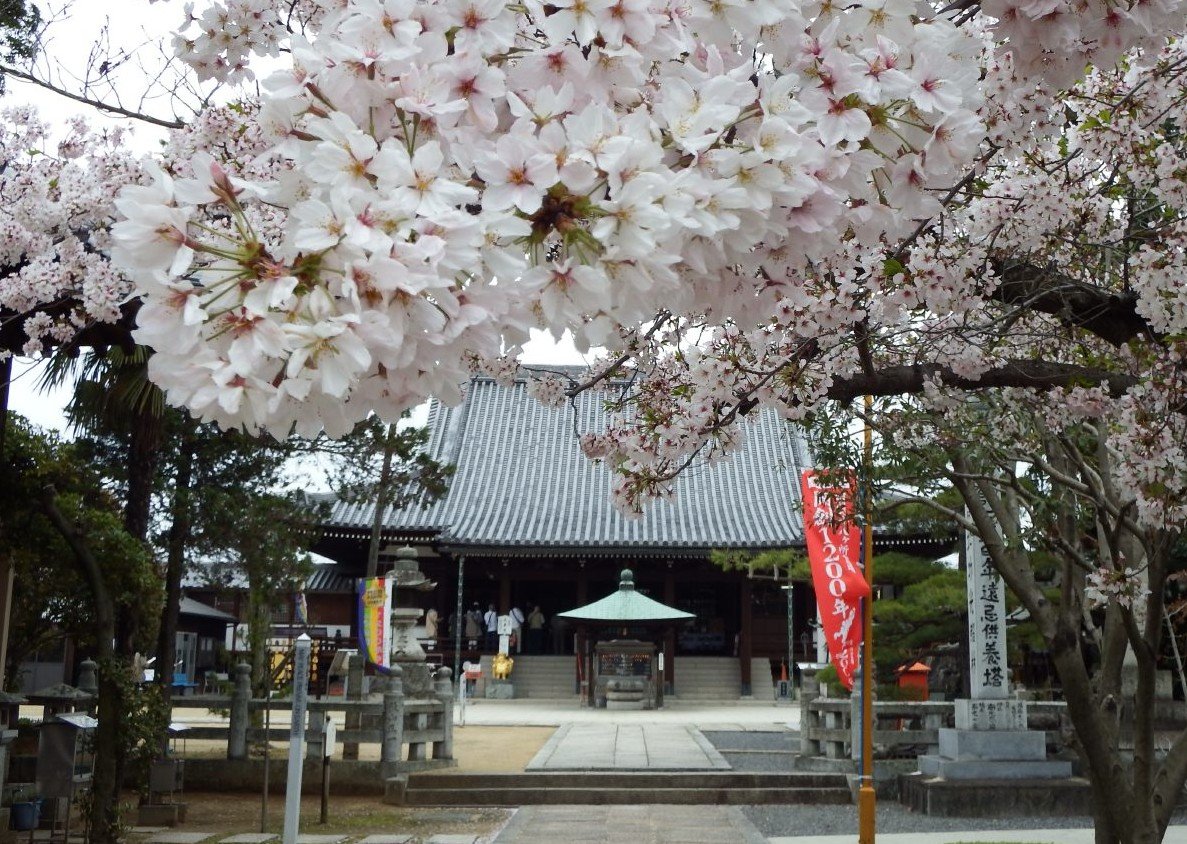 金倉寺