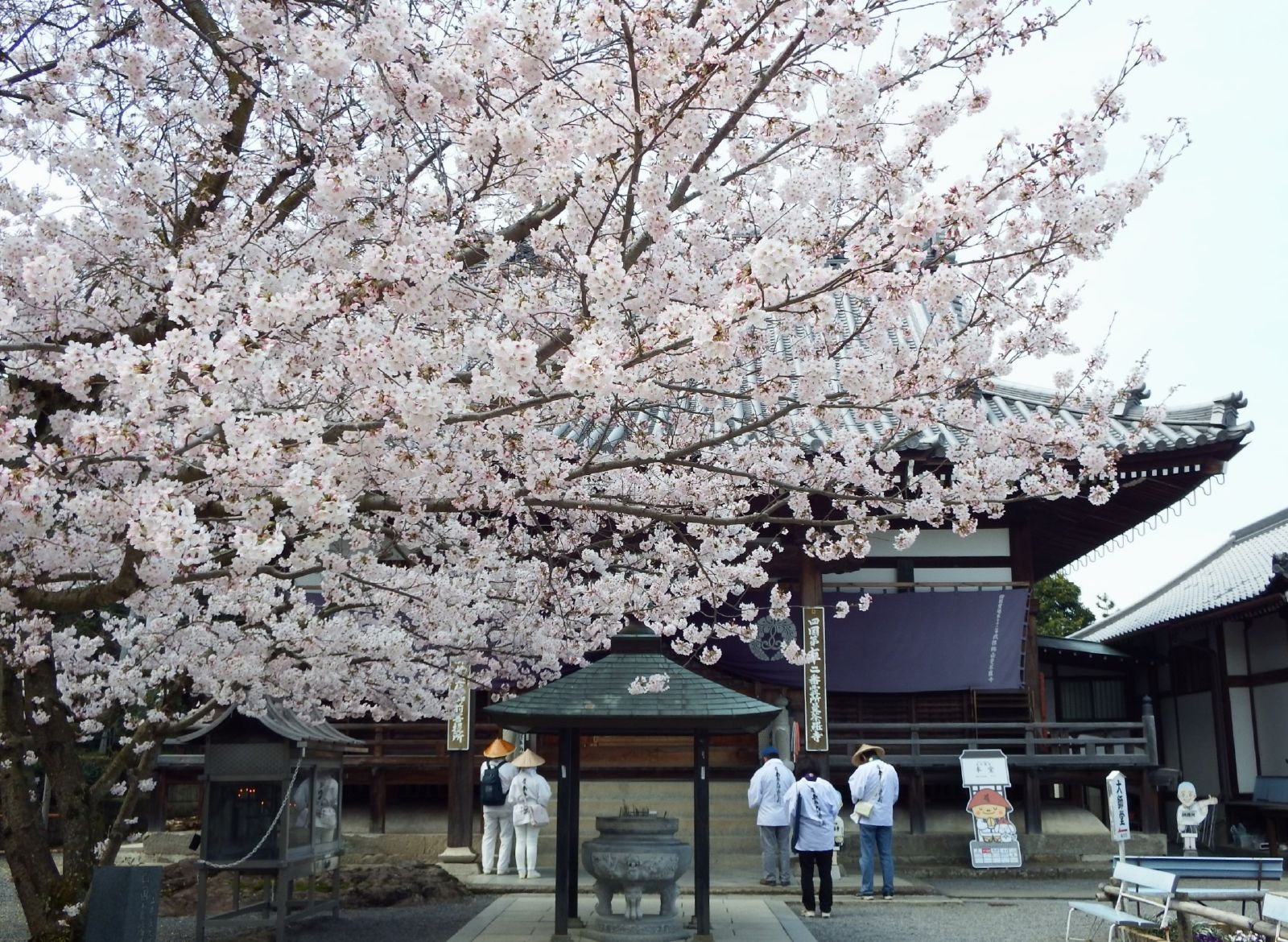 曼荼羅寺