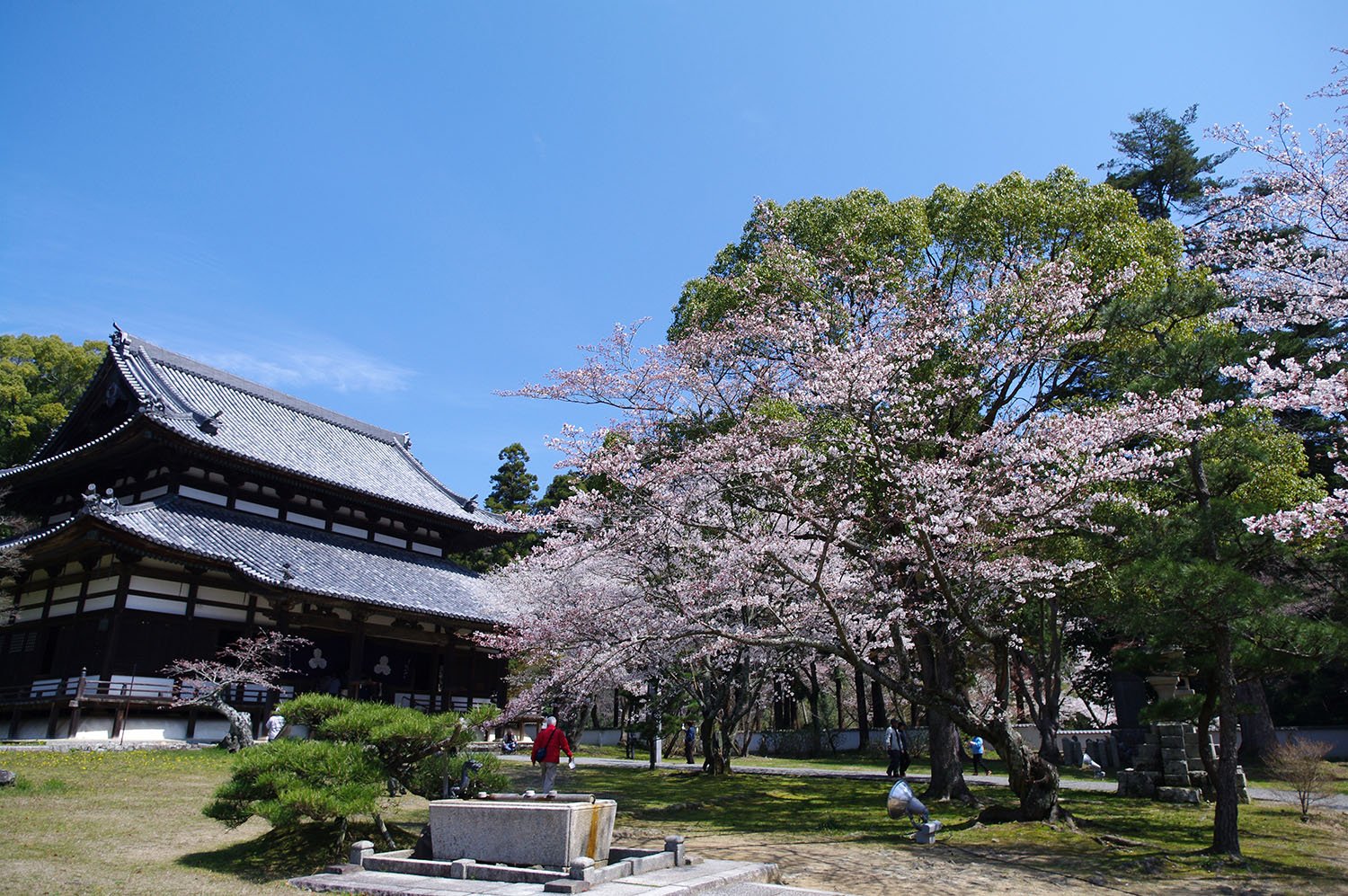根香寺