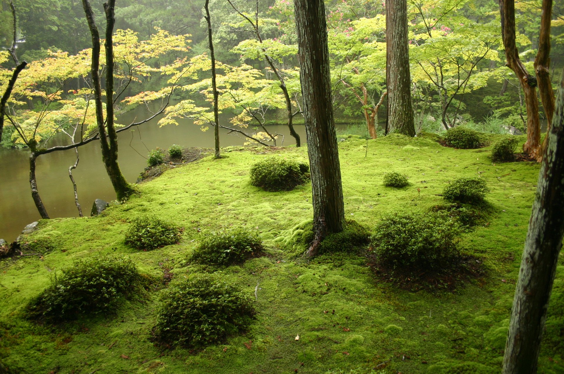西芳寺