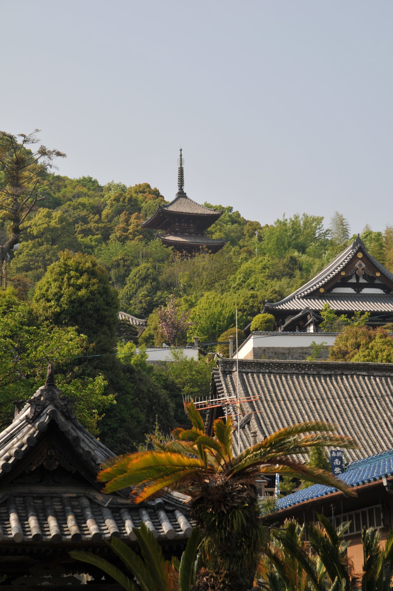 三重塔