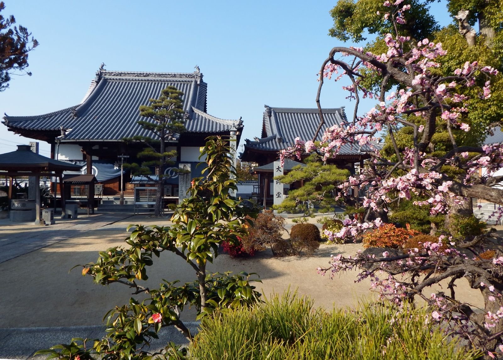 西林寺