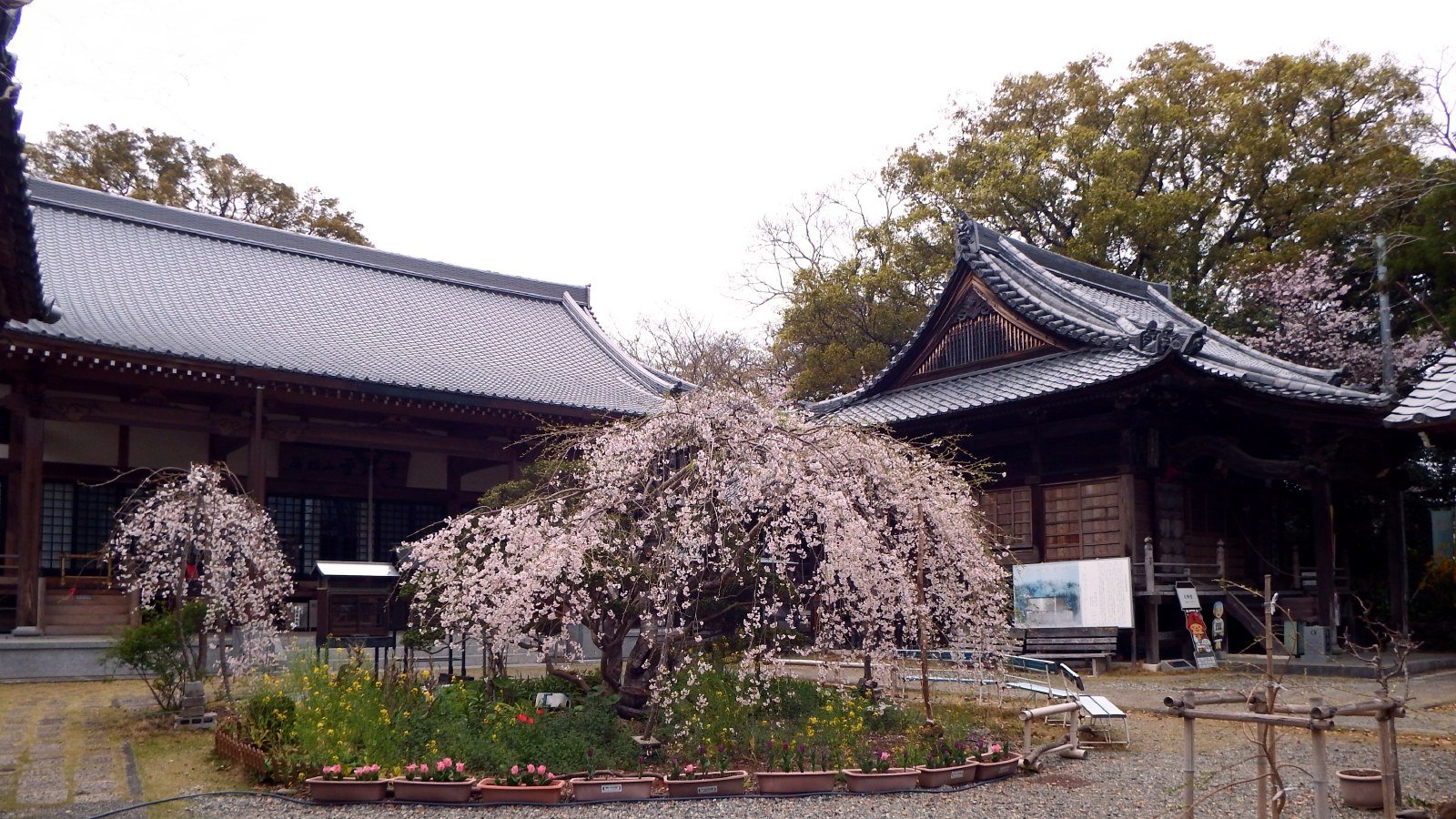 雪蹊寺