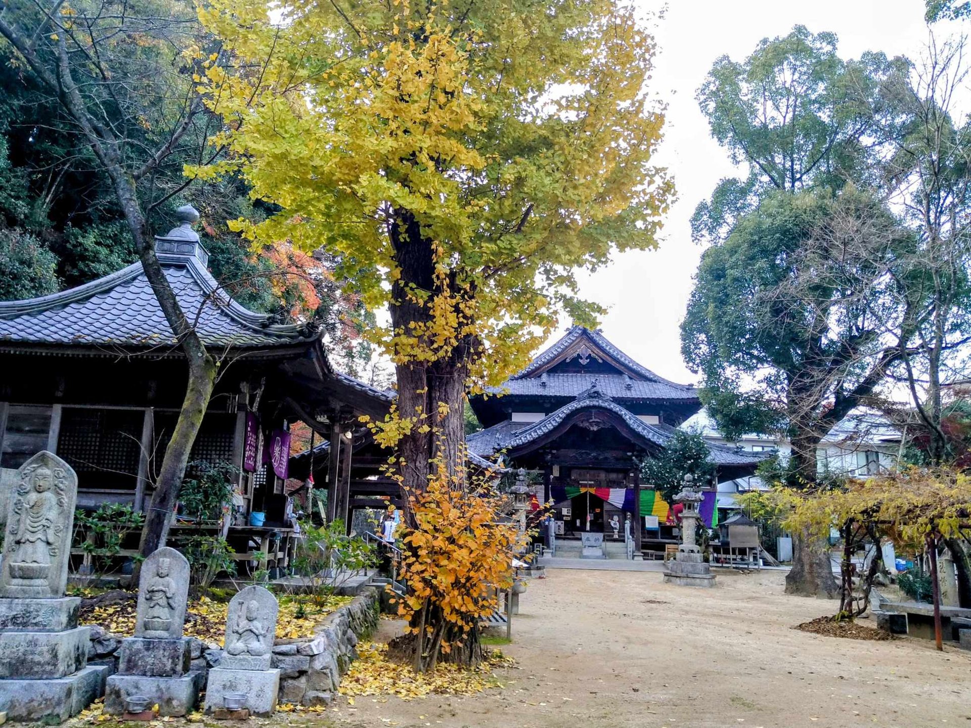仙遊寺