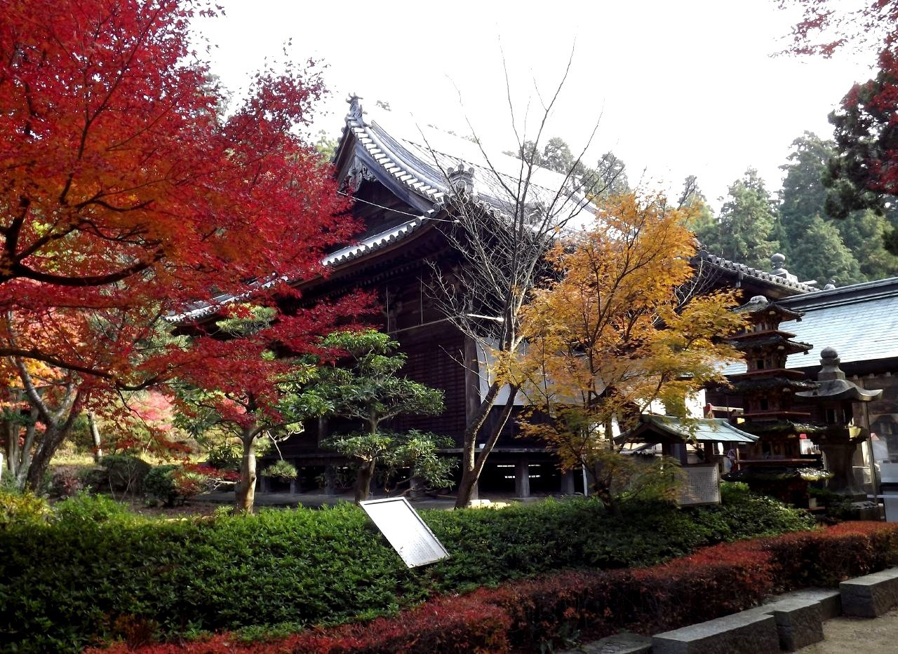 白峯寺