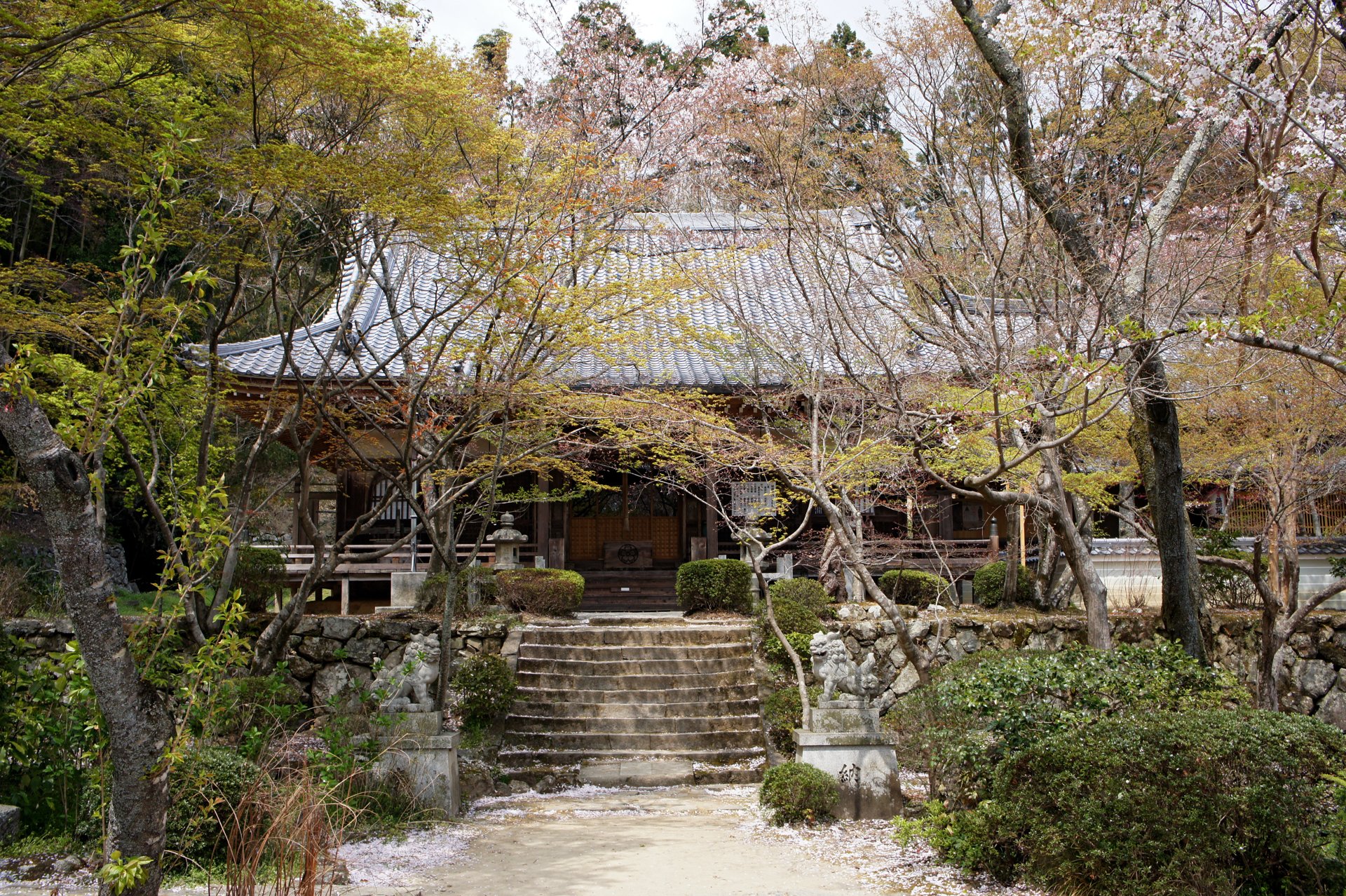 勝持寺