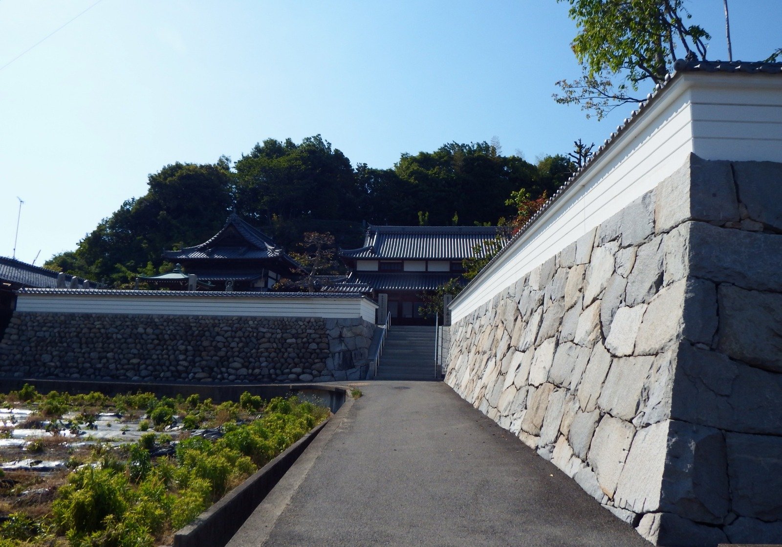 泰山寺