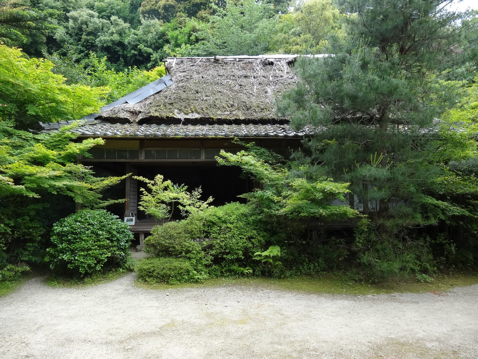 滝口寺