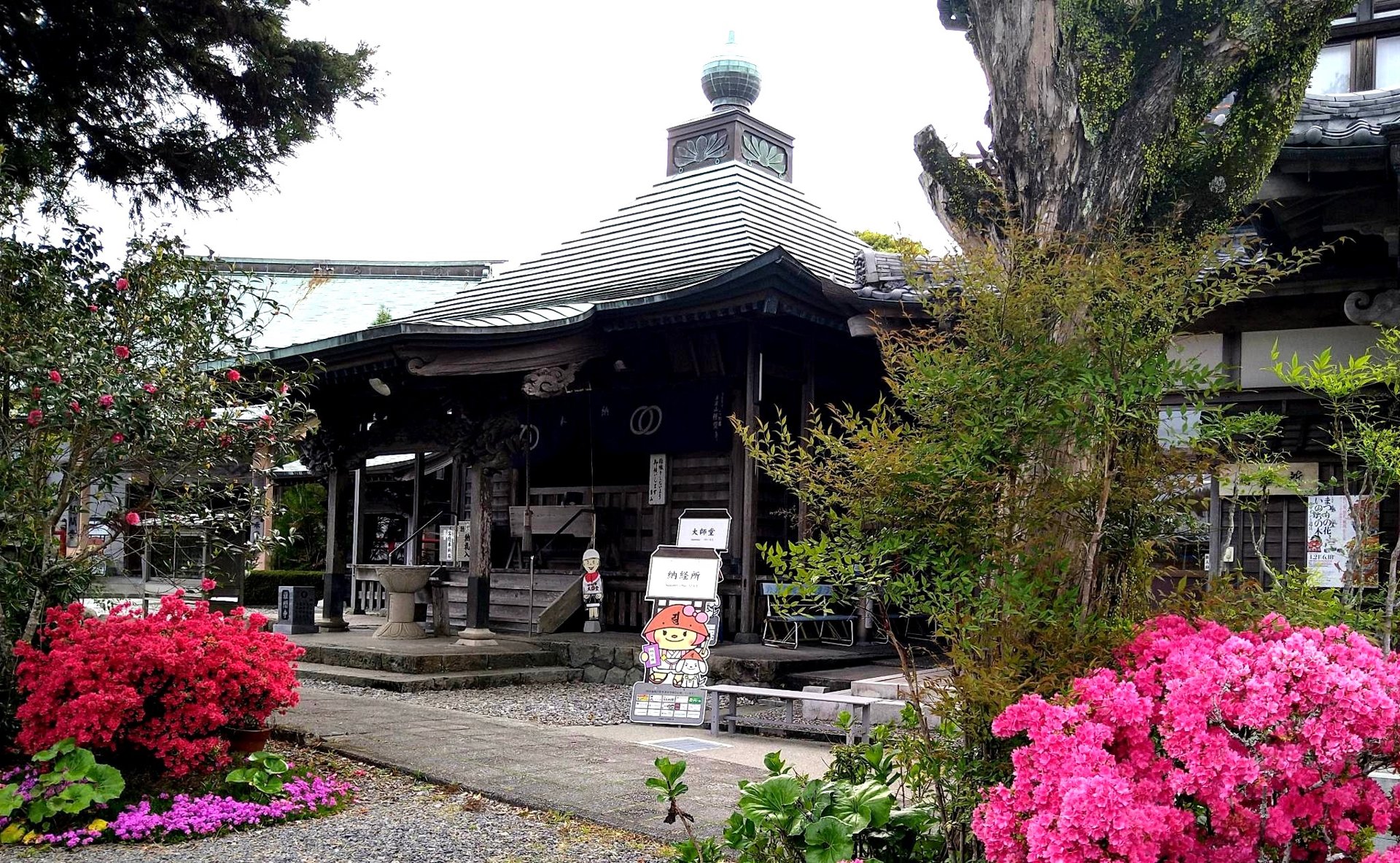種間寺