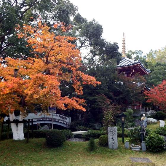 安楽寺