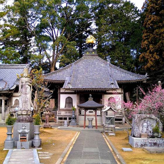 佛木寺