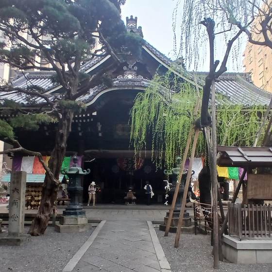 頂法寺