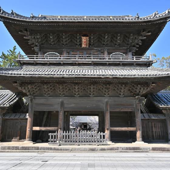 大樹寺
