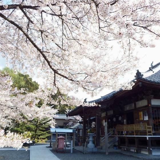 大興寺