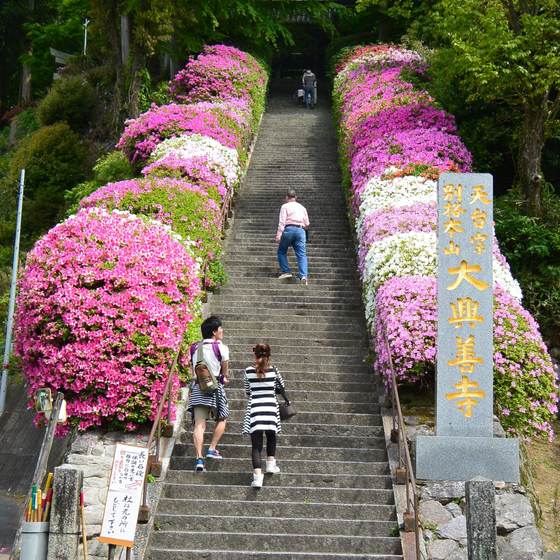 大興善寺