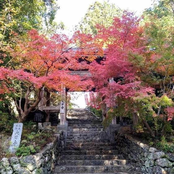 大日寺