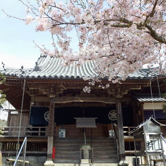 大日寺