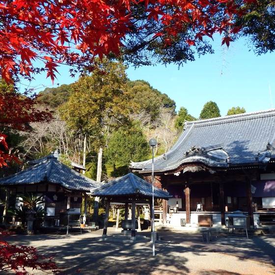 延光寺
