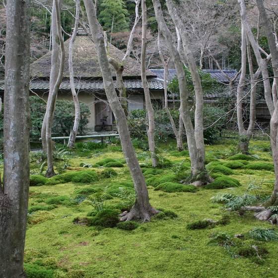 祇王寺