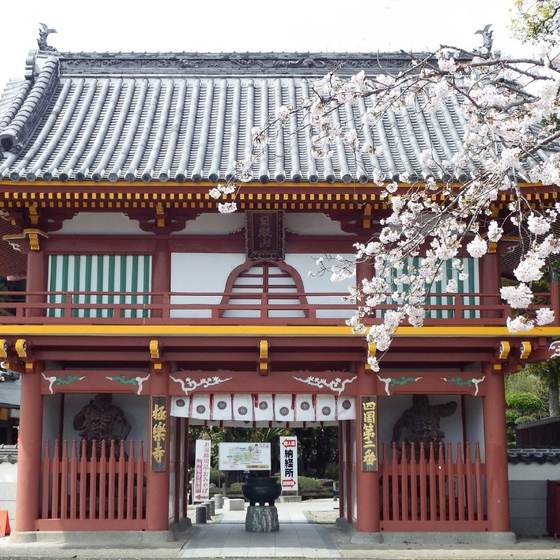 極楽寺