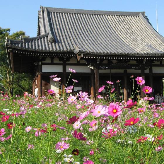 般若寺