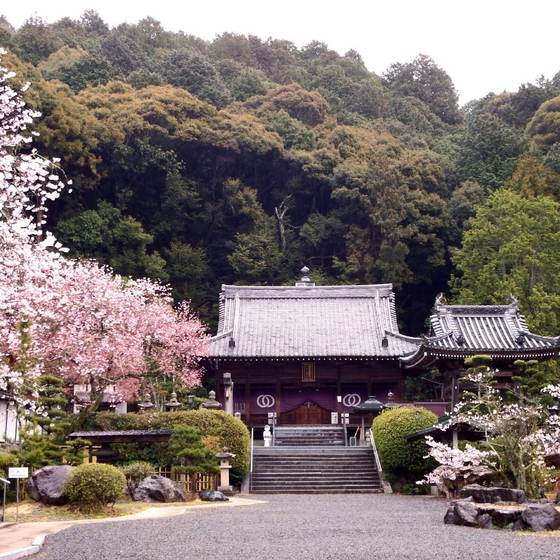 繁多寺