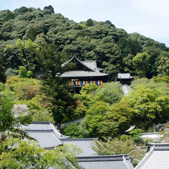 長谷寺