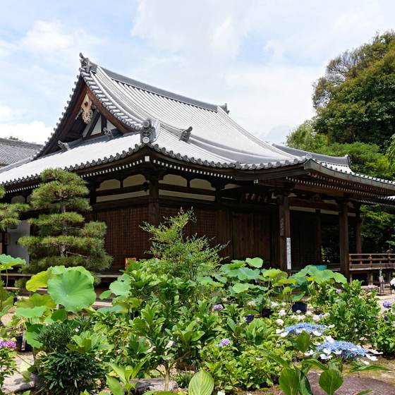 法金剛院