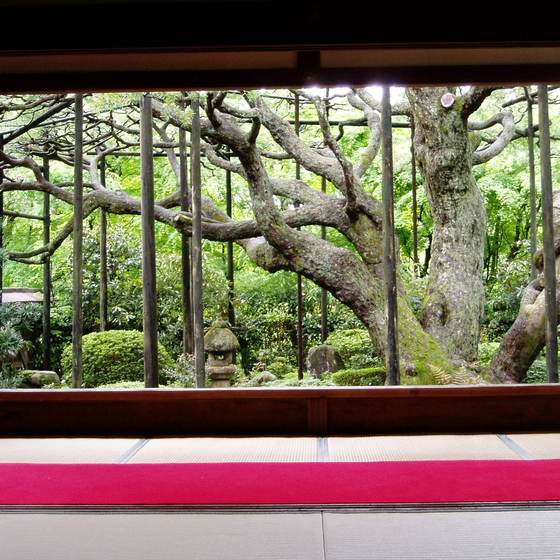 宝泉院