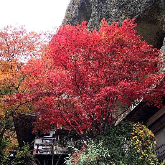 岩屋寺