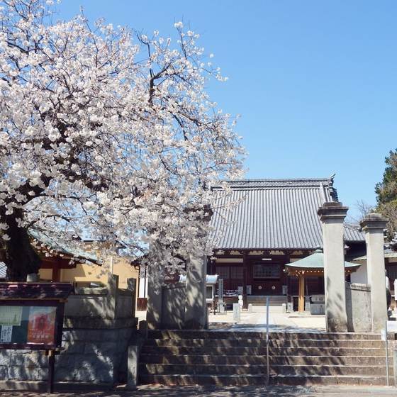 伊予国分寺