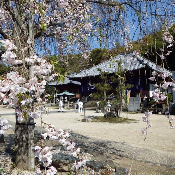 浄土寺