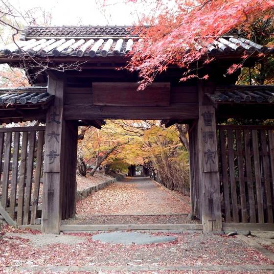 丈六寺