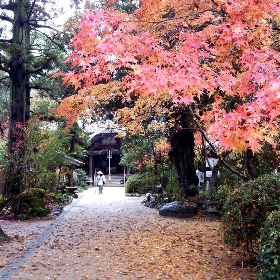 浄瑠璃寺
