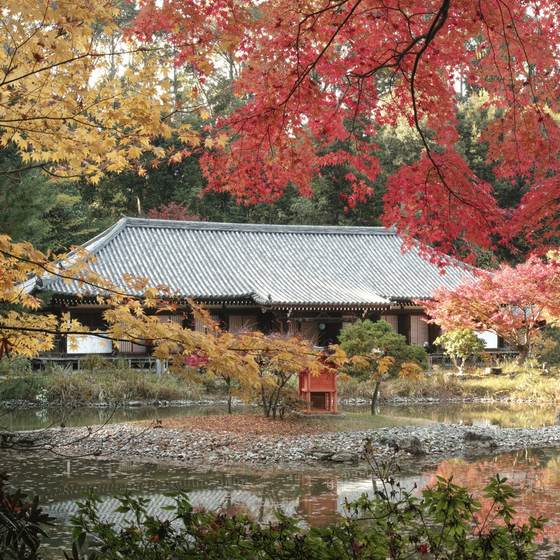 浄瑠璃寺