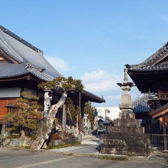 観音寺