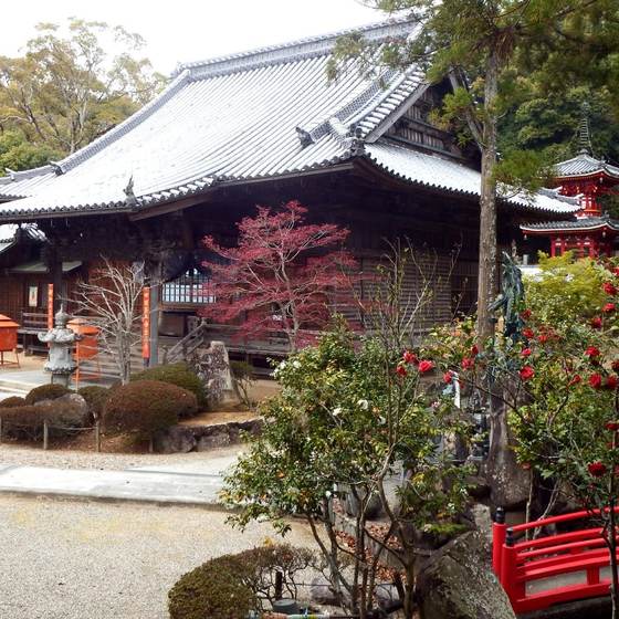 金泉寺